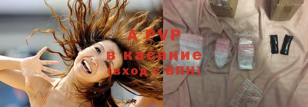сатива Абаза