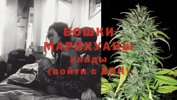 ПСИЛОЦИБИНОВЫЕ ГРИБЫ Няндома