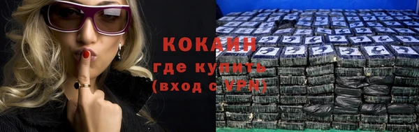 ПСИЛОЦИБИНОВЫЕ ГРИБЫ Няндома