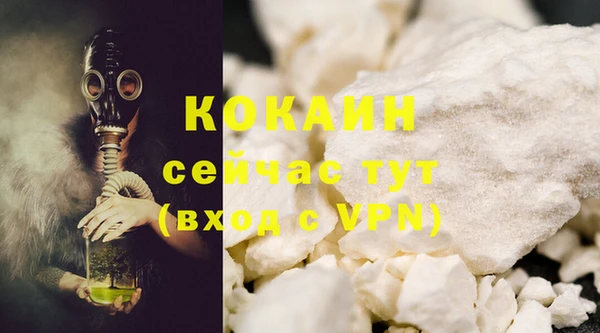 ПСИЛОЦИБИНОВЫЕ ГРИБЫ Няндома
