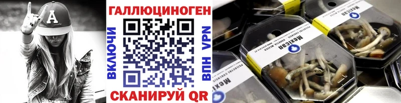 Галлюциногенные грибы Cubensis  Южноуральск 